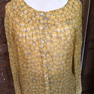 Sundance sweet, sheer lion blouse